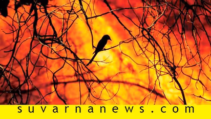 ಕಾಡು ಪ್ರಾಣಿಗಳು ನಾಡಿನವರ ಮೇಲೆ ಅಟ್ಯಾಕ್ ಮಾಡುವುದಕ್ಕೆ ಕಾರಣವೇನು?