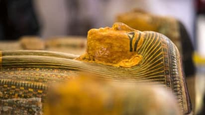 mummies found in Egypt