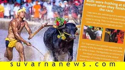 ಕಂಬಳದ ವಿರುದ್ಧ ಮತ್ತೆ ಧ್ವನಿ ಎತ್ತಿದ ಪೆಟಾ..!