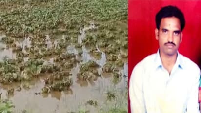 ಅತ್ತ ಮಳೆಗೆ ಕೊಚ್ಚಿ ಹೋದ ಈರುಳ್ಳಿ ಬೆಳೆ: ಇತ್ತ ರೈತ ನೇಣಿಗೆ ಶರಣು