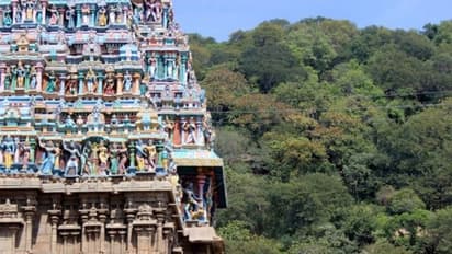 அழகர் கோயில் காட்டுக்குள் உல்லாசமாக இருந்த 17 வயது சிறுமி !! நண்பரை அடித்து துரத்திவிட்டு கற்பழித்த கொள்ளையன் !!