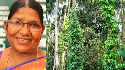 22 ഗ്രാമങ്ങളിലായി ഇരുപത് ലക്ഷം മരങ്ങള്; പ്രകൃതിയെ ഇങ്ങനെ തിരിച്ചെടുക്കാനാകുമോ?