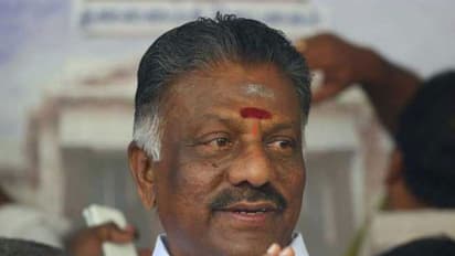 TN fishermen : முதல்வர் கடிதம் எழுதுவதோடு நிற்கிறார்.. செயலில் இறங்க வேண்டும்.. கோரிக்கை வைத்த ஓபிஎஸ் !