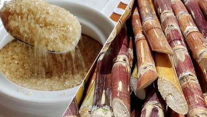 ഇത്തിരി പഞ്ചസാര