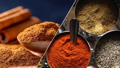 രുചിക്കൂട്ട് മാത്രമല്ല കറിക്കൂട്ടുകൾ