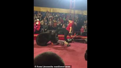 സര്‍ക്കസിനിടെ പരിശീലകന്‍ കരടിയെ അടിച്ചു, കരടി പരിശീലകനെയും; നടുക്കുന്ന കാഴ്ച