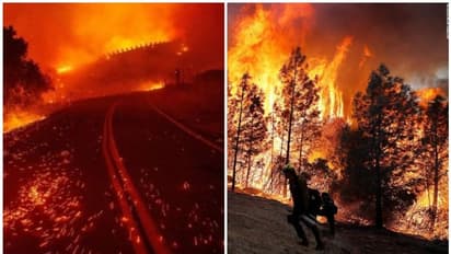 കാട്ടുതീ; ലോസ് ആഞ്ചൽസിൽനിന്നും അമ്പതിനായിരം പേരെ ഒഴിപ്പിച്ചു