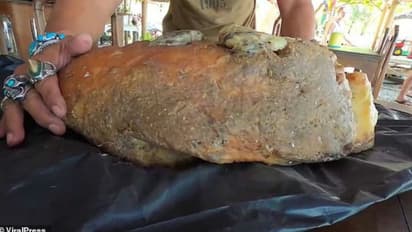 തിമിംഗലത്തിന്റെ ഛര്ദ്ദിലാണ്, അറപ്പ് തോന്നുന്നോ?; എന്നാലിതിന്റെ വിലയൊന്ന് കേട്ടാല് മതി!