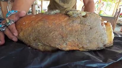 ఆన్లైన్లో అమ్మకానికి రూ.12కోట్ల తిమింగలం వాంతి... ముఠా అరెస్ట్