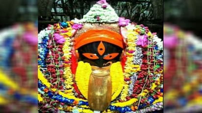 অম্বুবাচীর দিন সকালে খুলে গেল কালীঘাট মন্দিরের দরজা, প্রবেশ করা যাবে নির্দিষ্ট সময়