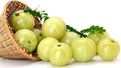 നല്ല കട്ടിയുള്ള മുടിയ്ക്കായി കഴിക്കാം ഈ ഭക്ഷണങ്ങൾ