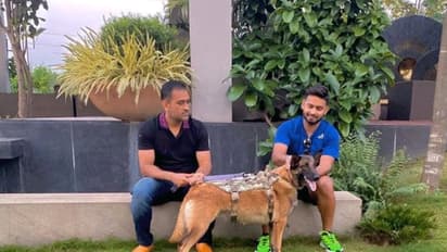 ధోనీతో పంత్... మరి కుక్కతో ఏం చేస్తున్నావు..?