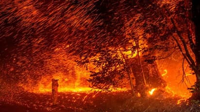 కొన్ని అదృశ్య శక్తులు నా సంపదను దోచుకుంటున్నాయి.. పోలీసులకు ఓ మహిళ ఫిర్యాదు