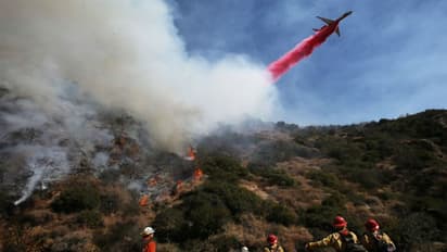 সর্বগ্রাসী আগুনে ছাই ক্যালিফোর্নিয়ার বিস্তির্ণ বনাঞ্চল, বিদ্যুৎহীন লাখ মানুষ, দেখুন ভয়ঙ্কর সেই ছবি