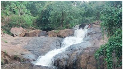 വെള്ളച്ചാട്ടത്തിൽ വീണ് യുവതി മരിച്ചു