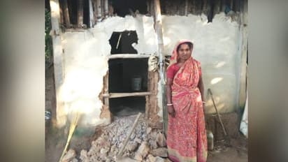 আবগারি হানার ভয়ে জঙ্গলে মদ, সাবাড় করে তাণ্ডব চালাল হাতির পাল