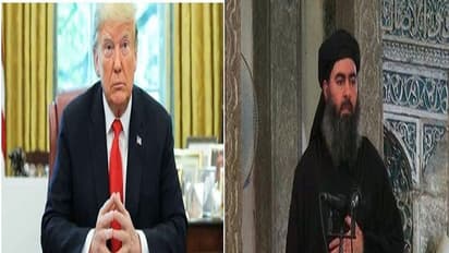 কুকুরের মতো মরেছে, অবশেষে এল ট্রাম্পের বড় ঘোষণা, দীপাবলিতে মুছে গেল আরও এক অন্ধকার