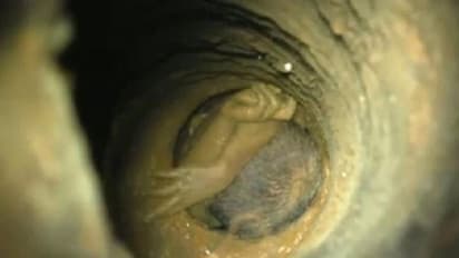 ஆழ்துளை கிணற்றில் விழுந்த சுர்ஜித்தின் உடல் முழுமையாக மீட்கப்பட்டதா..? ராதாகிருஷ்ணன் பரபரப்பு தகவல்...!