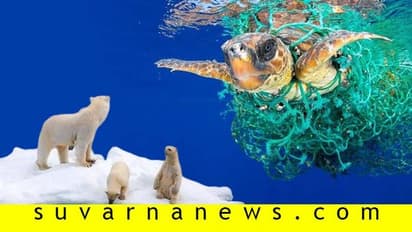 ಜಗತ್ತಿನ ವನ್ಯಜೀವಿಗಳು ಎದುರಿಸುತ್ತಿರುವ ಐದು ಅಪಾಯಗಳು!