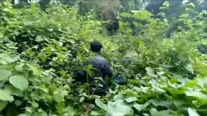 അട്ടപ്പാടിയിൽ വീണ്ടും വെടിവയ്പ്പ്; ഒരു മാവോയിസ്റ്റ് കൂടി കൊല്ലപ്പെട്ടു