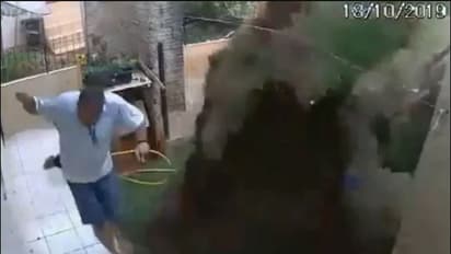 கரப்பான் பூச்சியை கொல்ல போய்... தோட்டத்தை வெடி வச்சி தூக்கின ஆசாமி...!