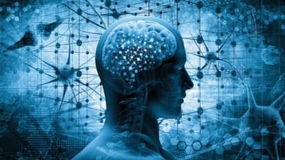 আইকিউয়ের চেয়ে ইকিউ কিছু কম যায় না, আর এটা না থাকলে মানবিকতা হারাবেন