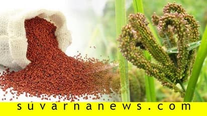 ಯೋಗ್ಯರಾಗಿ ಭೋಗ್ಯರಾಗಿ ಭಾಗ್ಯವಂತ 'ರಾಗಿ' ನೀವು...