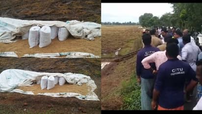 സപ്ലൈകോയ്ക്ക് നൽകാനായി പാടത്ത് സംഭരിച്ചിരുന്ന 70 ക്വിന്റല് നെല്ല് മോഷണം പോയി