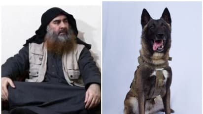 விரட்டிய அமெரிக்க நாய் ..! குகைக்குள் குழந்தையை போல் தேம்பிய ISIS தலைவன் அல்-பாக்தாதியின் இறுதி நிமிடங்கள்..!