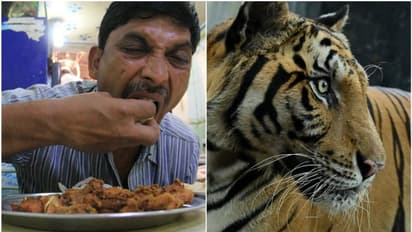 ছোটবেলা থেকে আমিষ খেলে, ভবিষ্যতে মানুষখেকো হতে পারে, বিস্ফোরক বিজেপি বিধায়ক