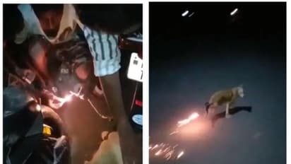 തെരുവ് നായയുടെ വാലിൽ പടക്കം കെട്ടിയിട്ട് പൊട്ടിച്ചു; മൂന്ന് യുവാക്കള്ക്കെതിരെ കേസ്