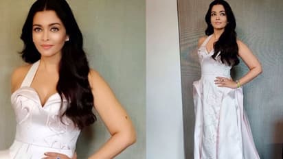 ഇളം പിങ്ക് നിറത്തിലുള്ള സിൽക്ക് ഗൗണിൽ തിളങ്ങി ആഷ്, കാണാൻ രാജകുമാരിയെ പോലെയെന്ന് ആരാധകർ