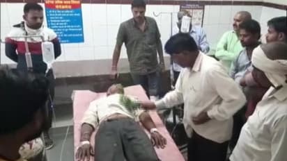 పాము కరిస్తే.. బూతవైద్యం చేసిన డాక్టర్..వేపాకు చేతపట్టుకొని