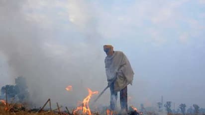 உத்தரப்பிரதேசத்தி்ல் 300 விவசாயிகள் மீது திடீர் வழக்குப்பதிவு: ஏன் தெரியுமா?