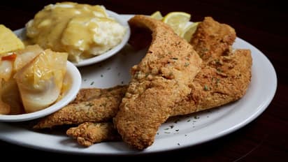 ফুচকা থেকে বিরিয়ানি, মুখ্যমন্ত্রীর বিজয়া সম্মিলনীতে কী কী পদে অতিথি আপ্যায়ণ