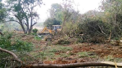 ರಾಯಬಾಗ: ಸರ್ಕಾರಿ ಗೋಮಾಳ ಕಂಡವರ ಪಾಲು: ಇದ್ದೂ ಇಲ್ಲದಂತಾದ ಅಧಿಕಾರಿಗಳು