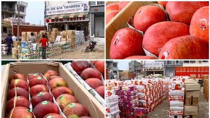 പുനസംഘടനക്ക് ശേഷം കശ്മീരിൽ സ്തംഭനാവസ്ഥ: ആപ്പിൾ വിപണിയും പ്രതിസന്ധിയിൽ: നേരിടുന്നത് കോടികളുടെ നഷ്ടം