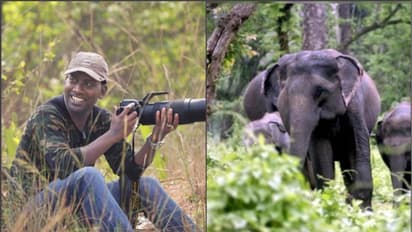 ছবির নেশায় হাতির সামনে, ফিরতে পারলেন না প্রকৃতিপ্রেমী আশিস