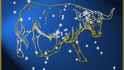 বছরের প্রথম মাস কেমন কাটবে বৃষ রাশির, দেখে নিন