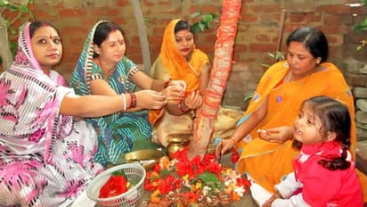 आंवले के पेड़ में होता है देवी लक्ष्मी का वास, अक्षय नवमी पर ऐसे करें इस वृक्ष की पूजा