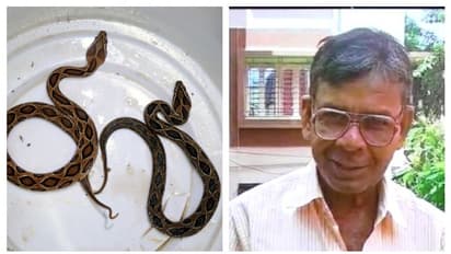 সাপ ধরতে বন দফতরের ভরসা, চন্দ্রবোড়ার ছোবলে মৃত্যু সর্প বিশারদের