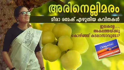 അരിനെല്ലിമരം, മീരാ രമേഷ് എഴുതിയ കവിതകള്