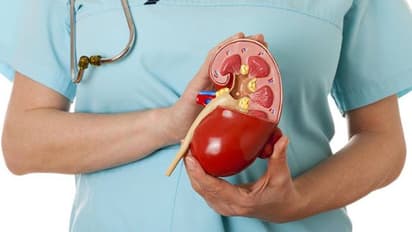 കരളിന്റെ ആരോഗ്യത്തിന് പ്രധാനമായി കഴിക്കേണ്ട 5 ഭക്ഷണങ്ങൾ