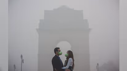 प्रदूषण के बीच रोमांस का तड़का! जानें वायरल हो रहे वेडिंग फोटोशूट का सच