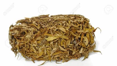 தனியாக நின்ற காரில் நான்கு  கல்லூரி மாணவர்கள் செய்த பலான காரியம்..!!  ரோந்து சென்ற சப்-இன்ஸ்பெக்டர் லூர்துமேரி கண்டு அதிர்ச்சி..!!