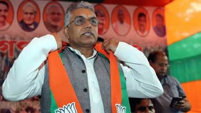 സൂര്യപ്രകാശം തട്ടിയാല്‍ നാടന്‍ പശുവിലും സ്വര്‍ണമുണ്ടാകും; പാലിന്‍റെ നിറവ്യത്യാസത്തിന്‍റെ കാരണവുമായി ബിജെപി നേതാവ്