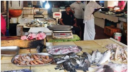 കോഴിക്കോട് സെൻട്രൽ മാർക്കറ്റിൽ ബുധനാഴ്ച ശുചിത്വ ഹർത്താൽ