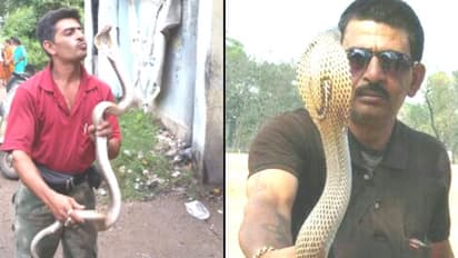 ১৯ বার ছোবল খেয়েও স্বাভাবিক, দুর্গাপুরের দেবাশিস এখন 'স্নেক ম্যান'