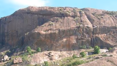 ಶೋಲೆ ಬೆಟ್ಟದ ರಣಹದ್ದುಗಳಿಗೆ ಮಾರಕವಾದ ರಸ್ತೆ!