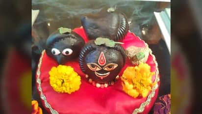 Shaligram ಮನೆಯಲ್ಲಿದ್ದರೆ ಈ ತಪ್ಪುಗಳನ್ನು ಮಾಡಬೇಡಿ